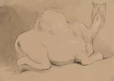 A Camel Resting by Джордж Джонс — digital art print download