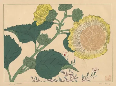 Sun flowers by Сакаи Хо̄ицу — digital art print download
