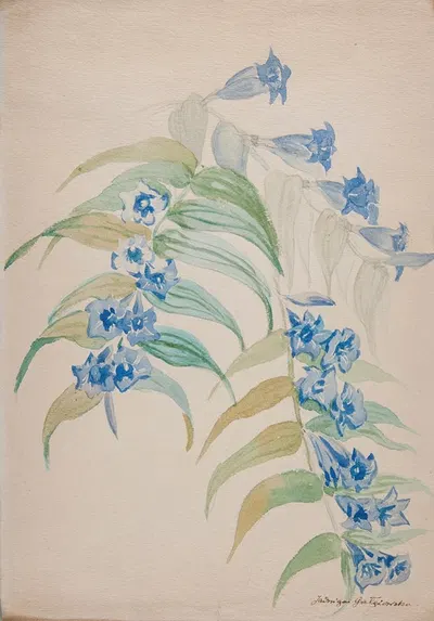 Twigs with blue flowers by Ядвига Галензовская — digital art print download