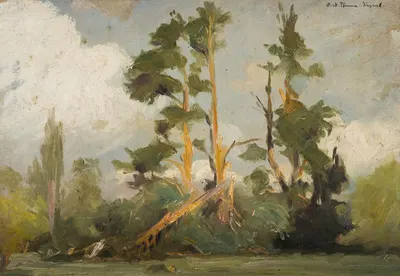 Study of Trees by Karl Maria Thuma — digital art print download