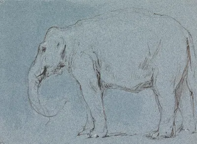 An Elephant by Джордж Джонс — digital art print download