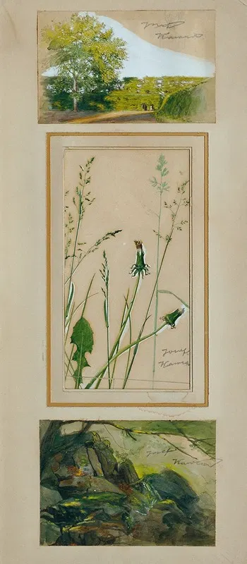 Studien nach der Natur by Йозеф Вавра, 1920 — digital art print download