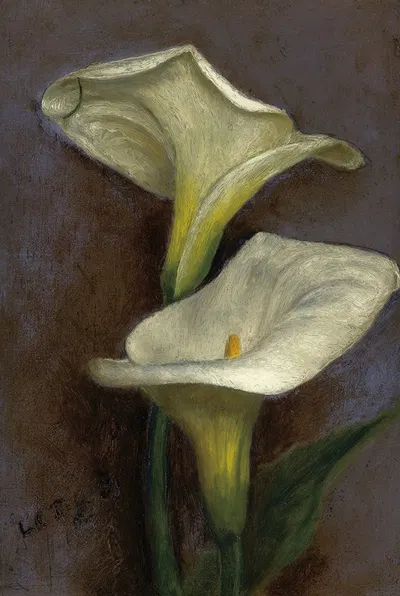 Calla Lilies by Луис Комфорт Тиффани, 1865 — digital art print download