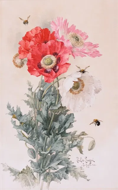 Poppies and Bees by Paul de Longpre, 1906 — digital art print download
