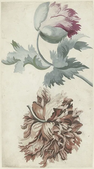 Papavers by Бернар Пикара, 1683 - 1733 — digital art print download