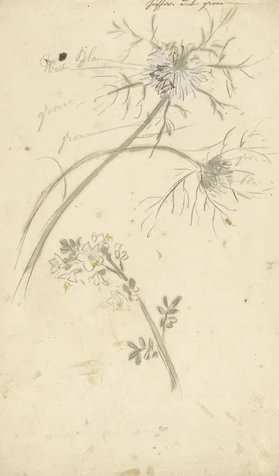 Juffertje in 't groen by Элиас ван Неймеген, 1677 - 1755 — digital art print download