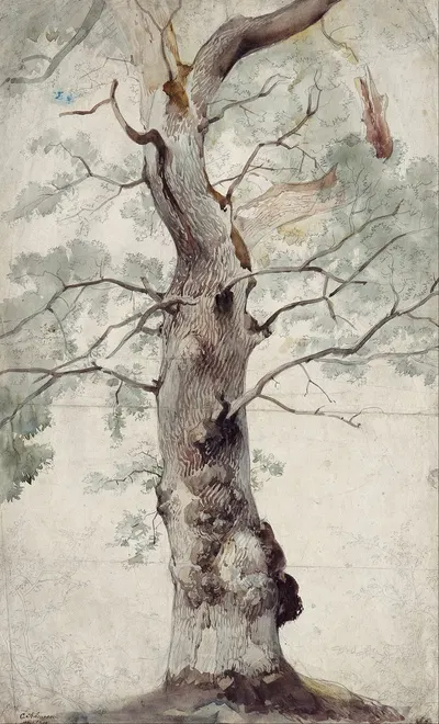 Study of a Tree by Caspar Scheuren — digital art print download