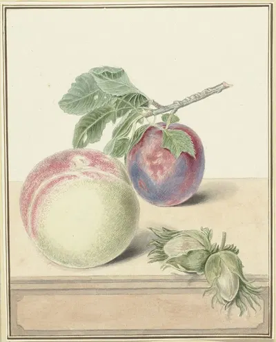 Perzik, een pruim met blad en een paar noten, after Michiel van Huysum by Elisabeth Geertruida van de Kasteele, 1818 - 1853…