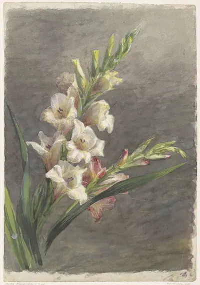 Gladiolen by Жерардина Якова ван де Санд Бахуйзен, 1836 - 1895 — digital art print download