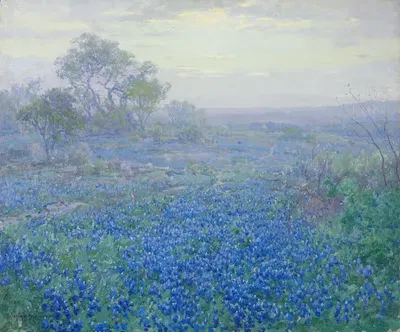 Облачный день, блюдца у Сан-Антонио, Техас by Джулиан Ондердонк, 1918 — digital art print download