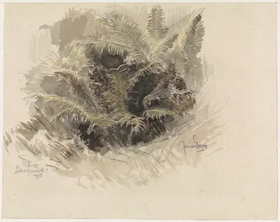 Koningsvaren in een tuin te Scherpenzeel by Ян ван Эссен, 1918 — digital art print download