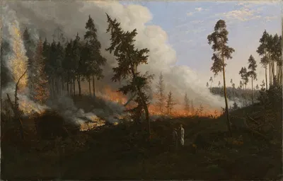 Forest fire by Vincentas Dmachauskas, 1860 — digital art print download