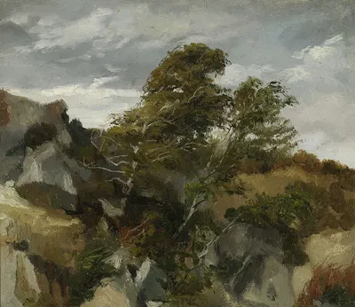Landscape from Bortniki at the Dniester River by Henryk Rodakowski, 1878 — digital art print download
