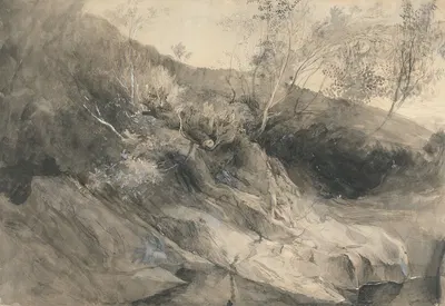 The Rocky Bank of a River by Джон Рескин — digital art print download