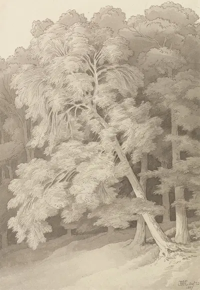 Trees in a Wood by Джон Уайт Эббот, 1807 — digital art print download