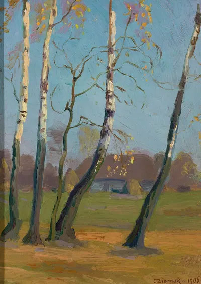 Березы рядом с деревней by Теодор Зиомек, 1906 — digital art print download