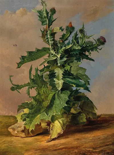 Thistles by Josef Schuster, 1844 — digital art print download