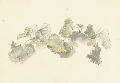 Studie van bladeren by Иосиф Августус Книп, 1787 - 1847 — digital art print download