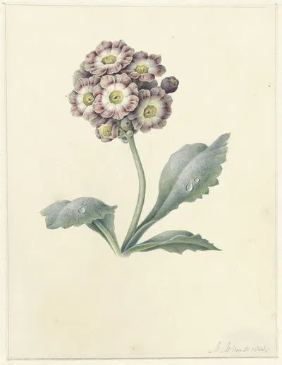 Bloemenstudie by Maria Margaretha van Os, 1823 — digital art print download