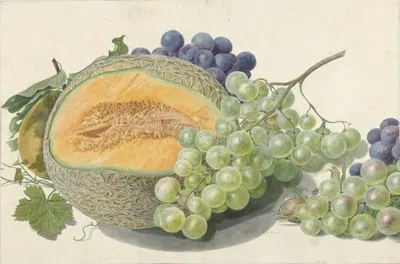 A Melon, Bunches of Grapes, a Peach and Hazelnuts by Михиел ван Хуйсум, 1714 - 1760 — digital art print download