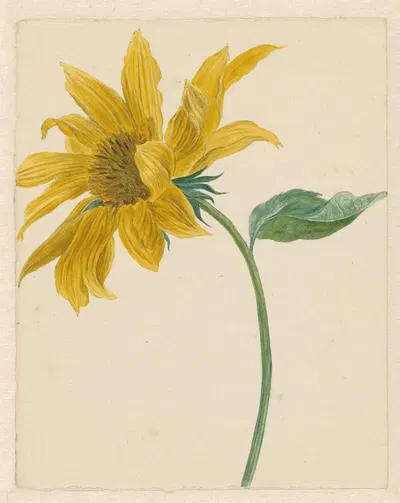 Tak met een zonnebloem by Михиел ван Хуйсум, 1714 - 1760 — digital art print download
