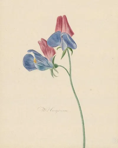 Tak met twee bloemen by Михиел ван Хуйсум, 1714 - 1760 — digital art print download