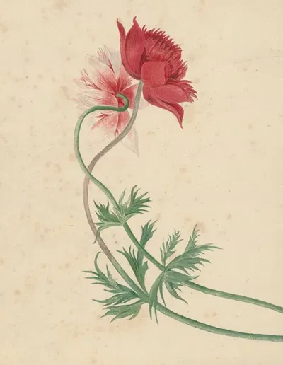 Twee takken met elk een bloem by Михиел ван Хуйсум, 1714 - 1760 — digital art print download