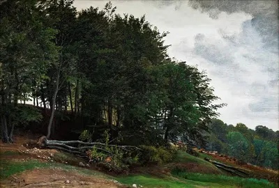 Лесистые холмы by П. К. Сковгорд, 1864 — digital art print download