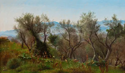 Оливковые деревья рядом с Олевано by П. К. Сковгорд, 1869 — digital art print download