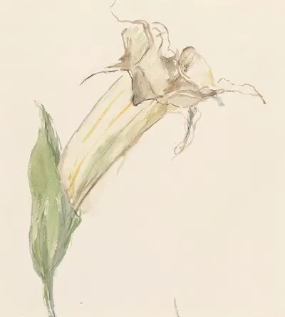 Bloem by Sientje Mesdag Van Houten, 1844 - 1909 — digital art print download