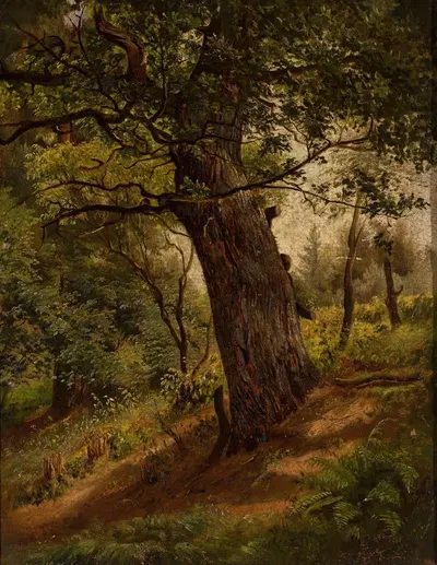 Изучение дерева by Вильгельм Петер Байер, 1861 — digital art print download