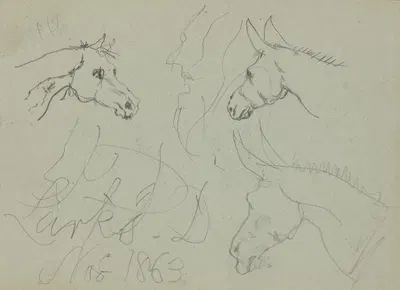 Study of a Horse's Head and Two Donkeys by Майлс Биркет Фостер — digital art print download