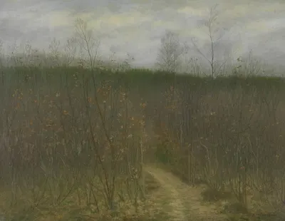Чаща в Синт-Мартенс-Латем by Альбейн Ван ден Абеле, 1898 — digital art print download