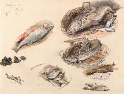 Study of Fish, Venice by Майлс Биркет Фостер, 1874 — digital art print download