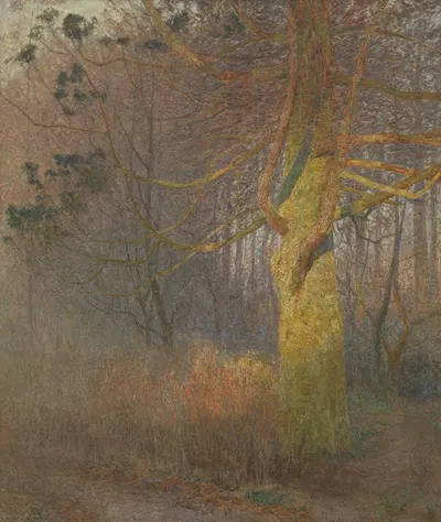 Дерево на солнце by Эмиль Клаус, 1900 — digital art print download