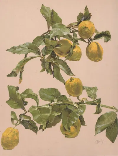 Aquarelle d'un citronnier by Алиса Байи — digital art print download