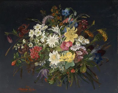 Alpenblumen by Анна Стайнер-Книттель — digital art print download