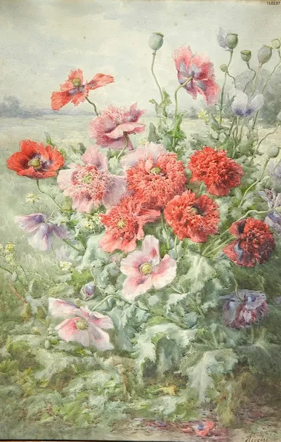 Pavots by François Rivoire — digital art print download