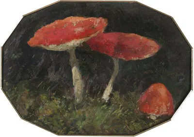 Amanitas by Густав Макаун — digital art print download