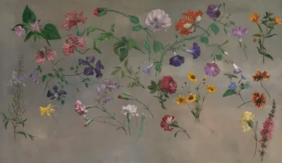 Studies of Flowers by Жак-Лоран Агаз — digital art print download