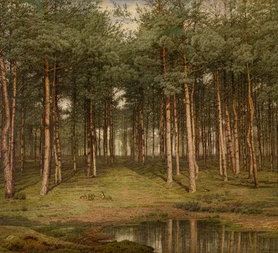 Елочный лес в Путте by Жан Пьер Франсуа Ламориниер, 1883 — digital art print download