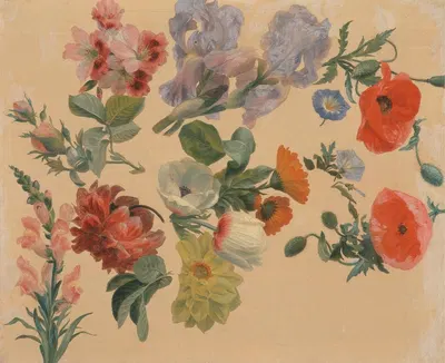 Studies of Summer Flowers by Jacques-Laurent Agasse — digital art print download