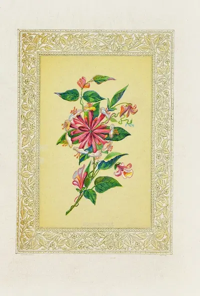 Honeysuckle by John Henry Ingram, 1869 — digital art print download