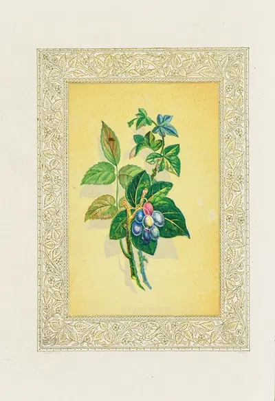 Ivy and Berries by John Henry Ingram, 1869 — digital art print download