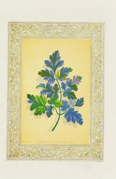 Leaves from the way side by John Henry Ingram, 1869 — digital art print download