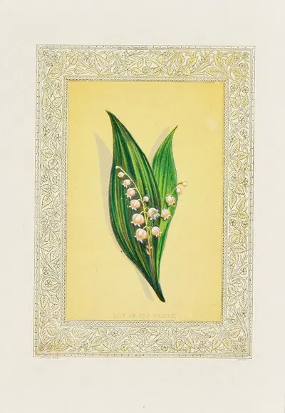 Lily of the valley by John Henry Ingram, 1869 — digital art print download