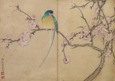 Bird with Plum Blossoms by Zhang Ruoai — digital art print download