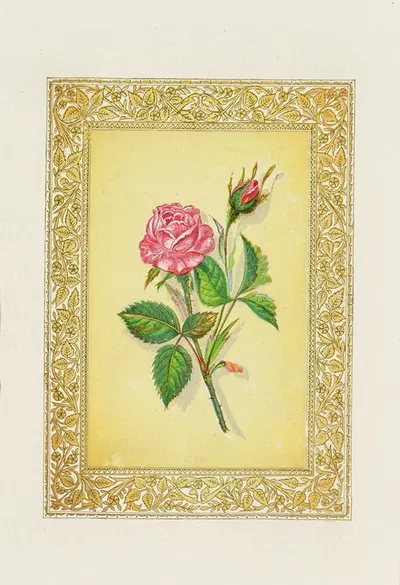 Rose by John Henry Ingram, 1869 — digital art print download