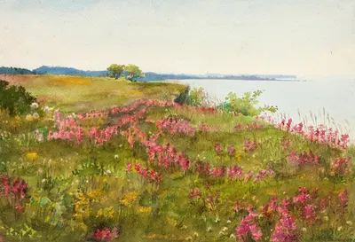 Маастик (цветущее поле) by Лилли Вальтер, 1906 — digital art print download