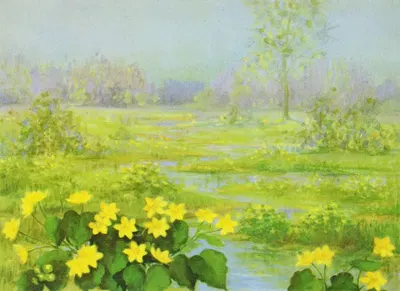 Cowslip by Lafayette F. Cargill, 1937 — digital art print download